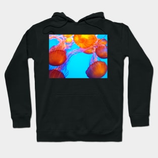 Jellies Hoodie